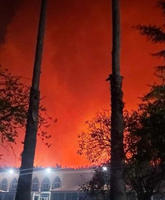 فيديوهات مؤلمة تدمي القلب.. لبنان يحترق والإطفاء خارج الخدمة! صورة رقم 19