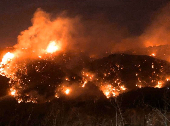 فيديوهات مؤلمة تدمي القلب.. لبنان يحترق والإطفاء خارج الخدمة! صورة رقم 20