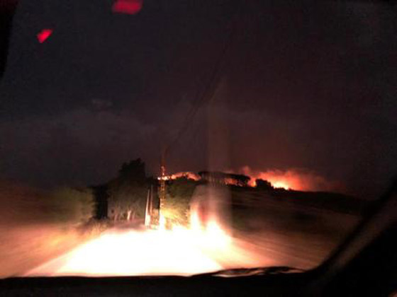 فيديوهات مؤلمة تدمي القلب.. لبنان يحترق والإطفاء خارج الخدمة! صورة رقم 28