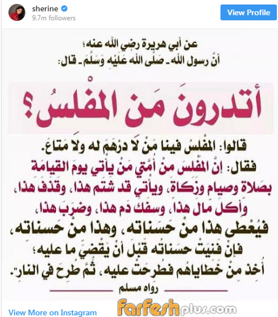 شيرين تعتزل مرة جديدة: “مهما الإنسان عمل مش هيعجب الناس” صورة رقم 2
