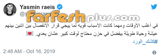 هل تنضم ياسمين رئيس لقائمة النجمات المطلقات؟ إليكم الحقيقة الكاملة! صورة رقم 2