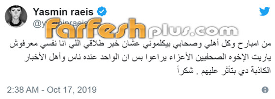 هل تنضم ياسمين رئيس لقائمة النجمات المطلقات؟ إليكم الحقيقة الكاملة! صورة رقم 3