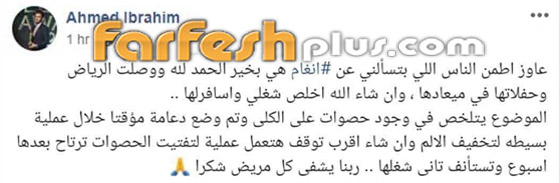 بالصور: أول ظهور لأنغام بعد وعكة حصوات الكلى في السعودية صورة رقم 4