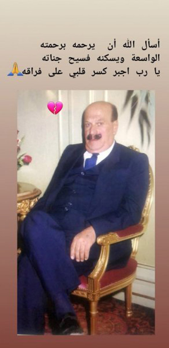 شاهدوا.. ابنة هيفاء وهبي تحتفل بعيد ميلاد طفلتيها وتحدث ضجة ! صورة رقم 5