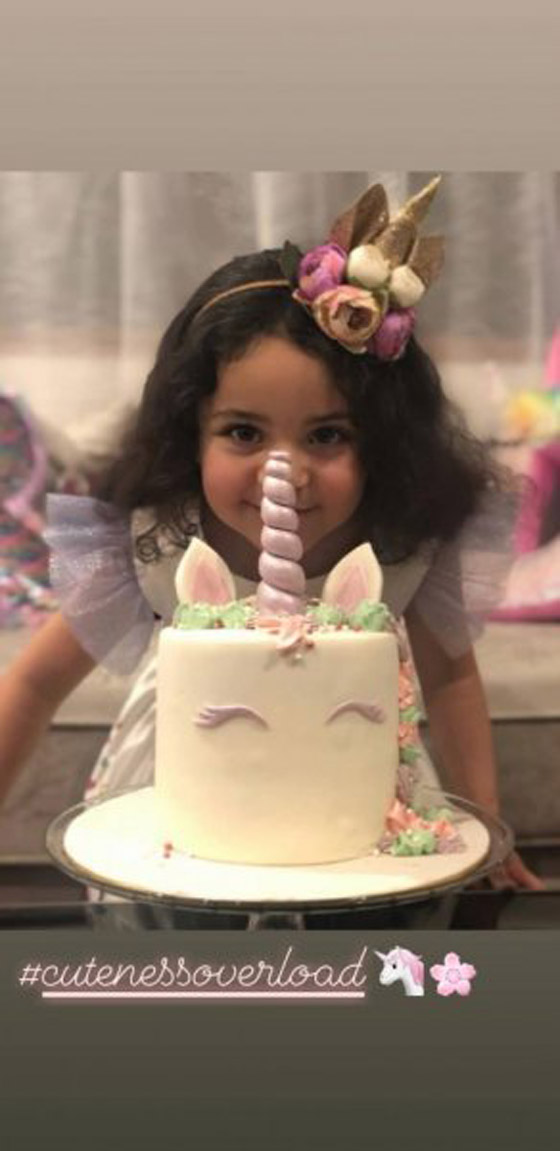 شاهدوا.. ابنة هيفاء وهبي تحتفل بعيد ميلاد طفلتيها وتحدث ضجة ! صورة رقم 11
