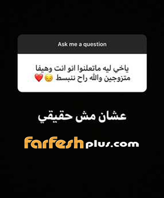 محمد وزيري يوضح حقيقة زواجه من هيفاء وهبي صورة رقم 1