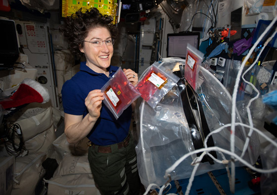 قضت أطول وقت في الفضاء الخارجي.. رائدة فضاء تدخل التاريخ! صورة رقم 9 قضت أطول وقت في الفضاء الخارجي.. رائدة فضاء تدخل التاريخ! صورة رقم 9