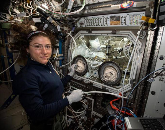 قضت أطول وقت في الفضاء الخارجي.. رائدة فضاء تدخل التاريخ! صورة رقم 11 قضت أطول وقت في الفضاء الخارجي.. رائدة فضاء تدخل التاريخ! صورة رقم 11