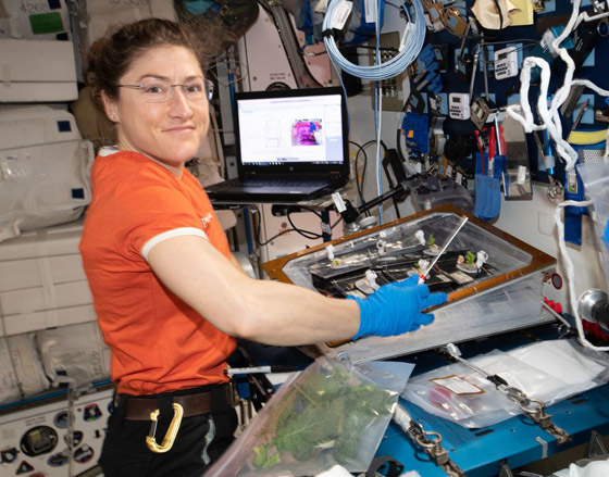 قضت أطول وقت في الفضاء الخارجي.. رائدة فضاء تدخل التاريخ! صورة رقم 13 قضت أطول وقت في الفضاء الخارجي.. رائدة فضاء تدخل التاريخ! صورة رقم 13