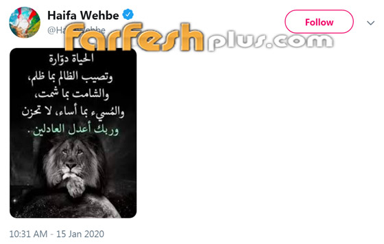 فضيحة أبو هشيمة طليق هيفاء وهبي تتصاعد بعد الإساءة لسمعة نجمات مصر! صورة رقم 5