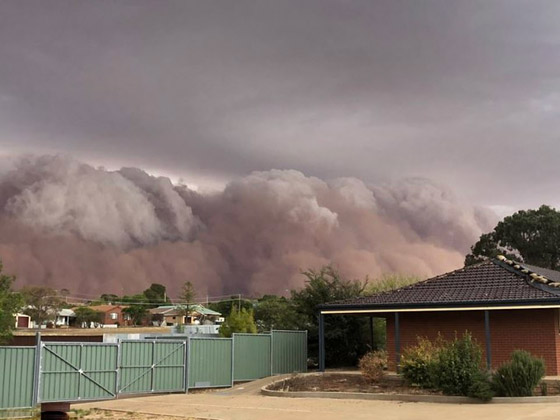 بعد الحرائق والأمطار.. عاصفة ترابية عملاقة تضرب أستراليا! صورة رقم 7 بعد الحرائق والأمطار.. عاصفة ترابية عملاقة تضرب أستراليا! صورة رقم 7