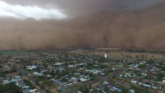 بعد الحرائق والأمطار.. عاصفة ترابية عملاقة تضرب أستراليا! صورة رقم 16 بعد الحرائق والأمطار.. عاصفة ترابية عملاقة تضرب أستراليا! صورة رقم 16