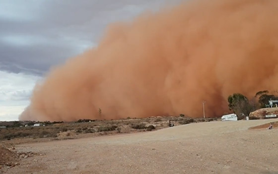 بعد الحرائق والأمطار.. عاصفة ترابية عملاقة تضرب أستراليا! صورة رقم 18 بعد الحرائق والأمطار.. عاصفة ترابية عملاقة تضرب أستراليا! صورة رقم 18