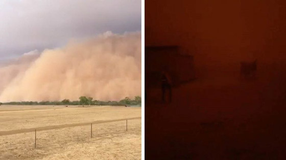 بعد الحرائق والأمطار.. عاصفة ترابية عملاقة تضرب أستراليا! صورة رقم 19 بعد الحرائق والأمطار.. عاصفة ترابية عملاقة تضرب أستراليا! صورة رقم 19