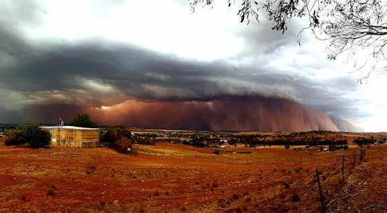 بعد الحرائق والأمطار.. عاصفة ترابية عملاقة تضرب أستراليا! صورة رقم 21 بعد الحرائق والأمطار.. عاصفة ترابية عملاقة تضرب أستراليا! صورة رقم 21