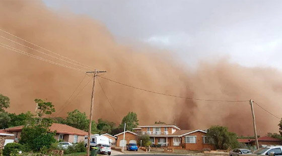 بعد الحرائق والأمطار.. عاصفة ترابية عملاقة تضرب أستراليا! صورة رقم 22 بعد الحرائق والأمطار.. عاصفة ترابية عملاقة تضرب أستراليا! صورة رقم 22