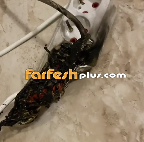 نجاة الإعلامية بسمة وهبة من الموت حرقا بسبب المدفأة الكهربائية! فيديو صورة رقم 6