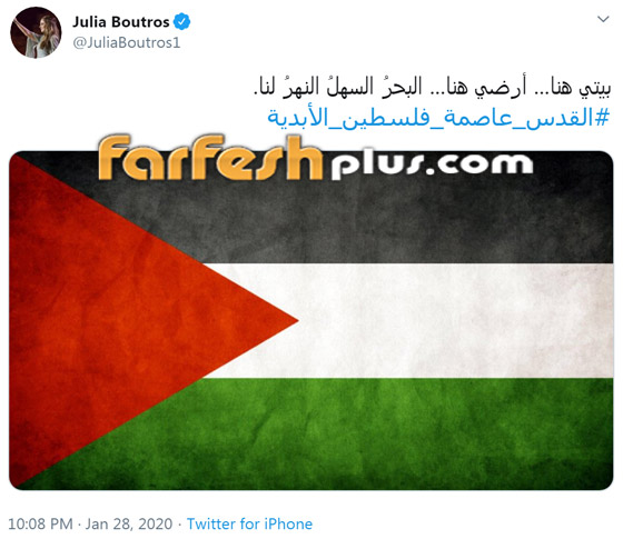 ماذا قال نجوم الفن عن صفقة القرن؟ إليسا، عساف، الحلفاوي، جوليا بطرس و.. صورة رقم 6