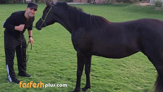 فيديو أحمد السقا يستعرض مهاراته في ركوب الخيل صورة رقم 4