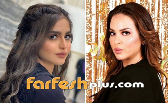 حلا الترك ترفع دعوى ضد والدتها بتهمة بالسرقة! ما علاقة دنيا بطمة؟ صورة رقم 8