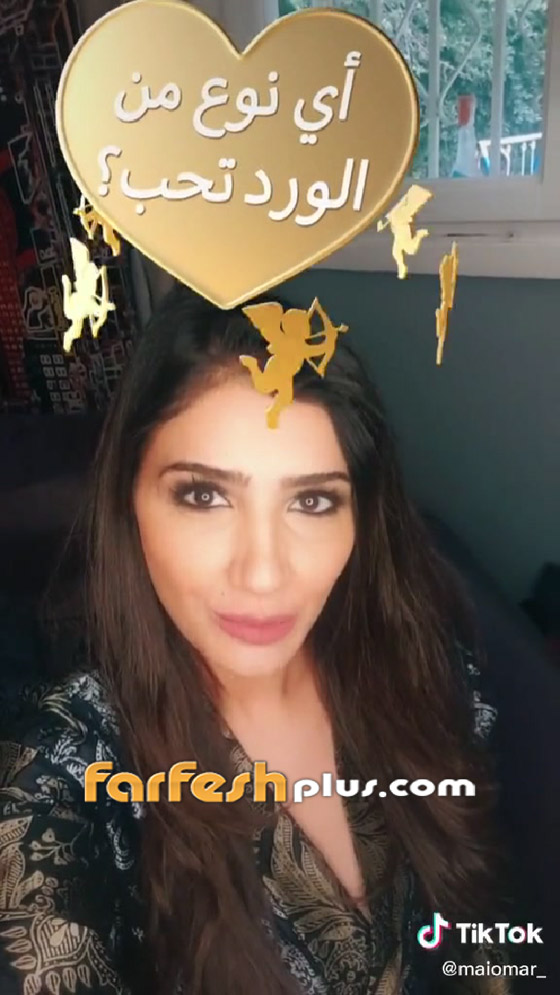 نجوم الفن يحتفلون مع جمهورهم بعيد الحب (فالنتاين) على (تيك توك) صورة رقم 3