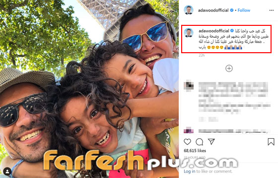 كيف احتفل النجوم في الفلانتين؟ عمرو اعترف لدينا وشيرين سرقت حسام صورة رقم 16