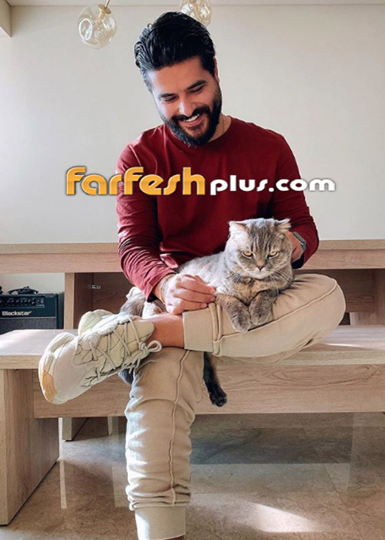 عرض زواج في حفل ناصيف زيتون والمغني (يزغرد) متحديا شاكيرا! صورة رقم 5