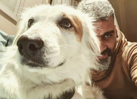 حيوانات أليفة في حياة المشاهير: قطة مدللة ورثت 3 ملايين دولار! صورة رقم 2