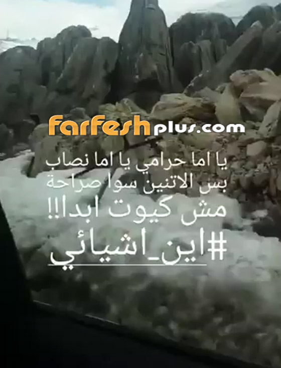 من هو الحرامي النصاب الذي خدع هيفاء وهبي وسرقها؟ بالفيديو صورة رقم 1
