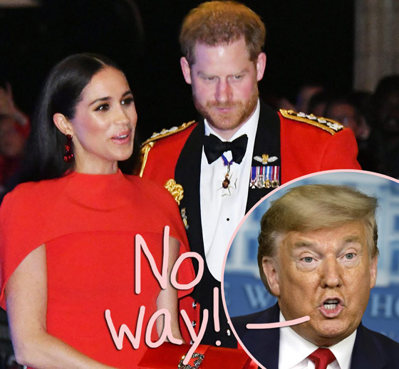 ترامب للأمير هاري وميغان: لن نحميكم! والأخيران: لا نحتاج للمساعدة! صورة رقم 13
