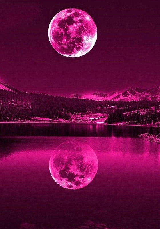 لا يظهر إلا مرة واحدة بالسنة.. استعد لالتقاط صور القمر الوردي العملاق صورة رقم 9