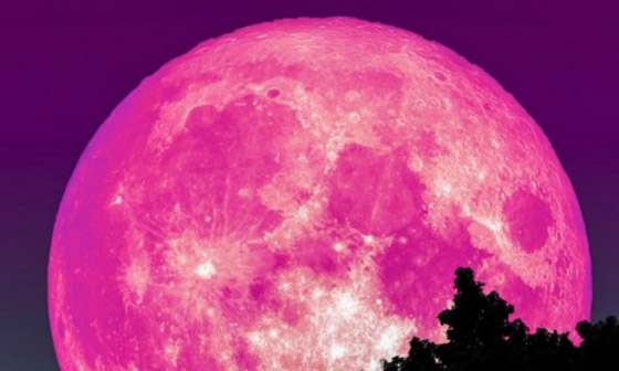 لا يظهر إلا مرة واحدة بالسنة.. استعد لالتقاط صور القمر الوردي العملاق صورة رقم 12
