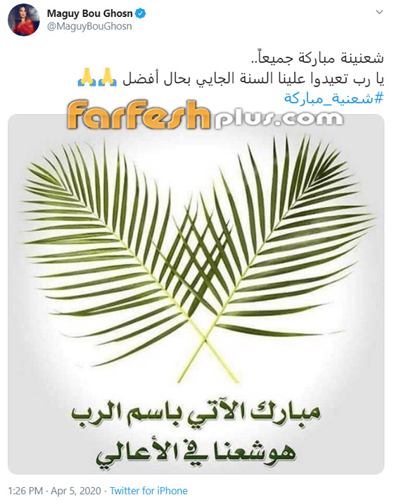 كيف احتفلت نجمات لبنان بالشعنينة؟ إليسا، ميريام فارس، نانسي عجرم و؟ صورة رقم 6