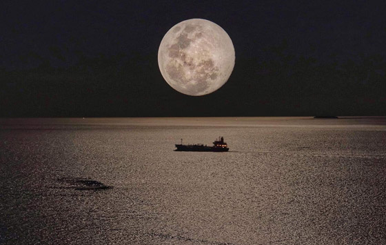 ظهور القمر الوردي بأبهى حلله.. أول بدر وظاهرة فلكية خلال الربيع! صور صورة رقم 5