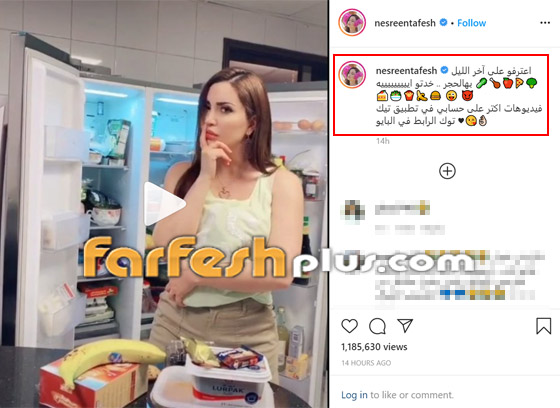 فيديو طريف: على أغنية عبد الباسط حمودة، نسرين طافش تلتهم ما بالثلاجة صورة رقم 1