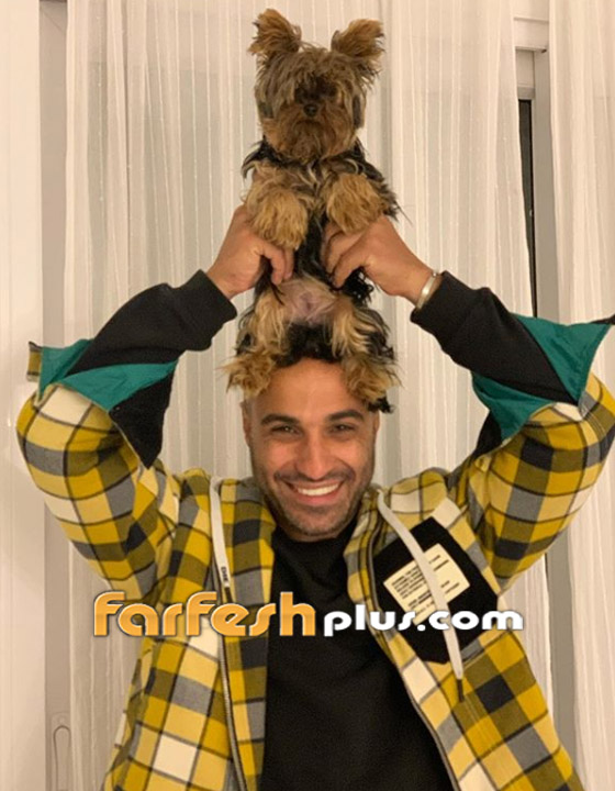الحرب تشتعل: فيديو محمد رمضان يحرج أحمد فهمي فيرد عليه: الكلاب أهم منك! صورة رقم 4