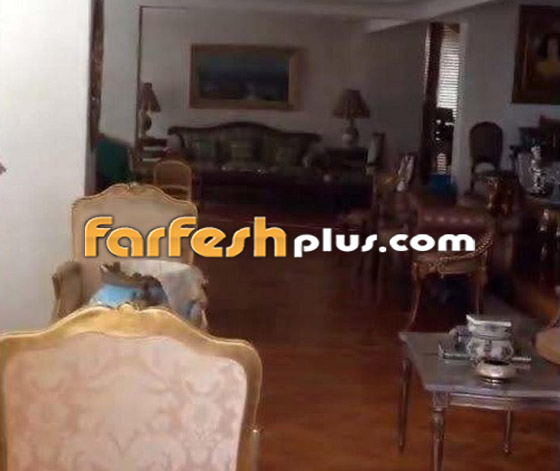 فيديو وصور: منزل الراقصة فيفي عبده الفخم يطل على النيل ويببهر الجمهور صورة رقم 8