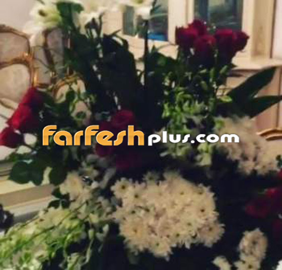 فيديو وصور: منزل الراقصة فيفي عبده الفخم يطل على النيل ويببهر الجمهور صورة رقم 9