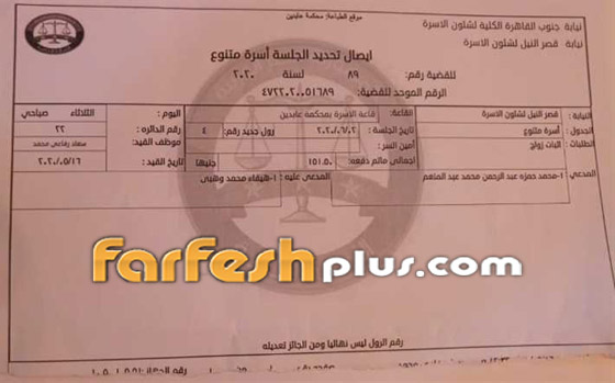 محمد وزيري يكشف السر ويرفع دعوى على هيفاء وهبي لإثبات زواجهما (مستند) صورة رقم 1