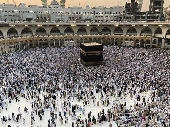 أول دولة إسلامية تحسم قرارها بشأن الحج لهذا العام بسبب جائحة كورونا! صورة رقم 8