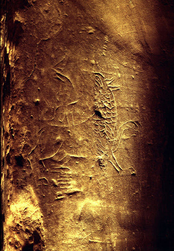 حرب الدلو، القبعة والبطاطس.. 8 أحداث تاريخية مضحكة يصعب تصديقها صورة رقم 2