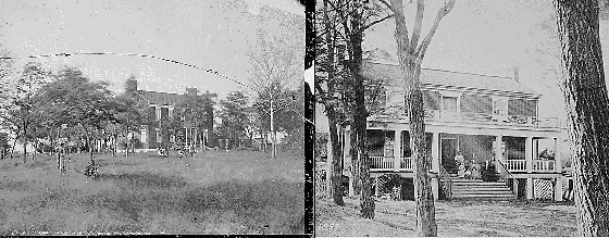 حرب الدلو، القبعة والبطاطس.. 8 أحداث تاريخية مضحكة يصعب تصديقها صورة رقم 4