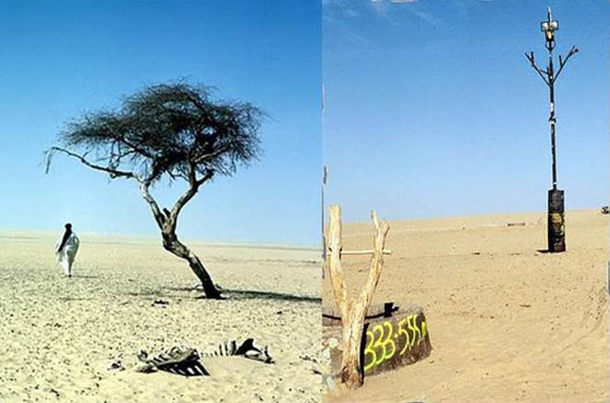 حرب الدلو، القبعة والبطاطس.. 8 أحداث تاريخية مضحكة يصعب تصديقها صورة رقم 16