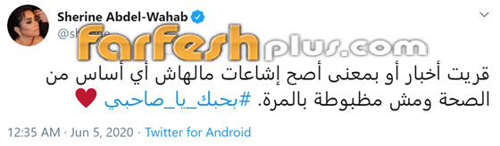 أسرار انفصال شيرين عن حسام حبيب بعد شجار وصل لحد الضرب وتدخل أحمد سعد صورة رقم 2