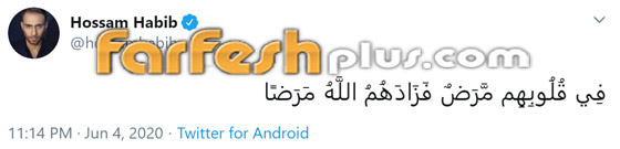 أسرار انفصال شيرين عن حسام حبيب بعد شجار وصل لحد الضرب وتدخل أحمد سعد صورة رقم 3