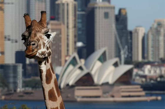 أبرز صور الأسبوع: إليكم أهم الأحداث المصورة في مختلف أنحاء العالم صورة رقم 8