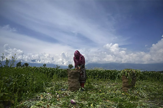 أبرز صور الأسبوع: إليكم أهم الأحداث المصورة في مختلف أنحاء العالم صورة رقم 15