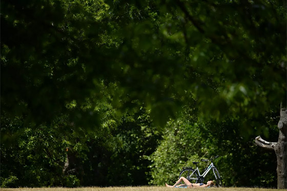 أبرز صور الأسبوع: إليكم أهم الأحداث المصورة في مختلف أنحاء العالم صورة رقم 25