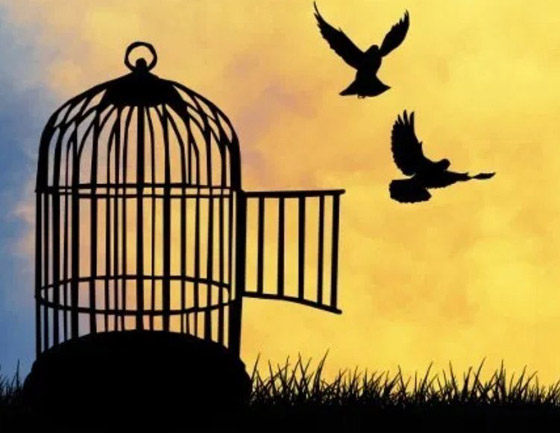 زوجان ضربا خادمة تبلغ 8 سنوات حتى الموت.. والسبب ببغاء! صورة رقم 7