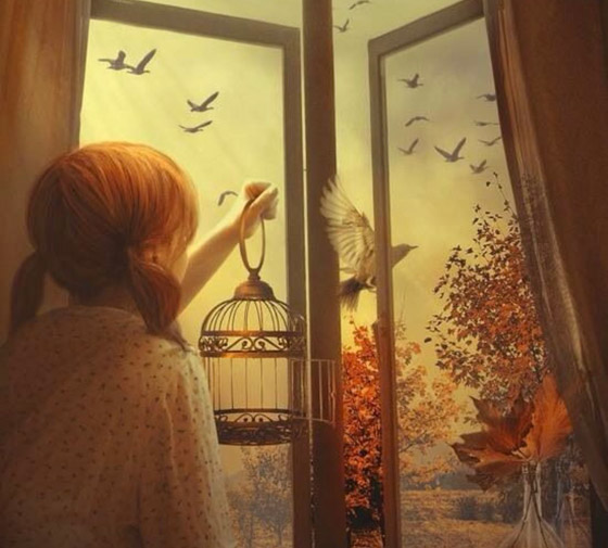 زوجان ضربا خادمة تبلغ 8 سنوات حتى الموت.. والسبب ببغاء! صورة رقم 8